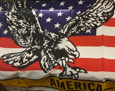 zz FLAG 3' x 5' Murica